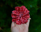 Large Flower Style Bow: Paisley