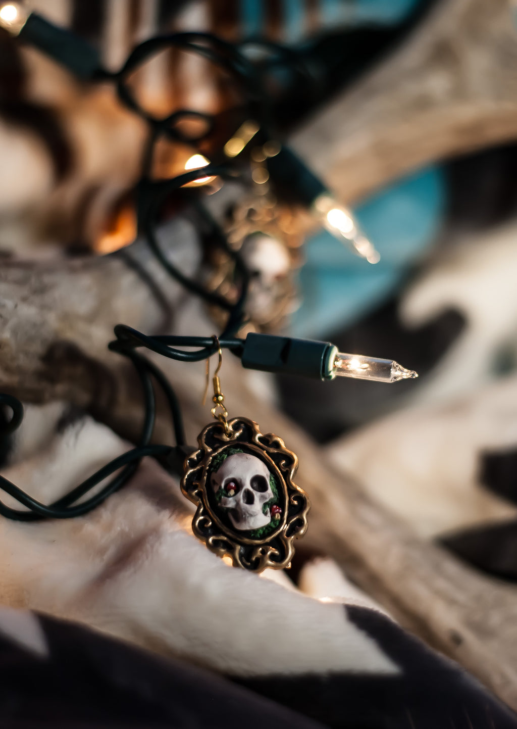 State of Decay Series: Mushrooms